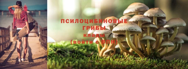 стафф Алексеевка