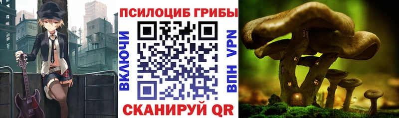 Галлюциногенные грибы Magic Shrooms  blacksprut ссылка  darknet состав  Поронайск 